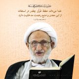 آلبوم تصاویر حضرت آیت الله العظمی بهجت ره  (340/460)